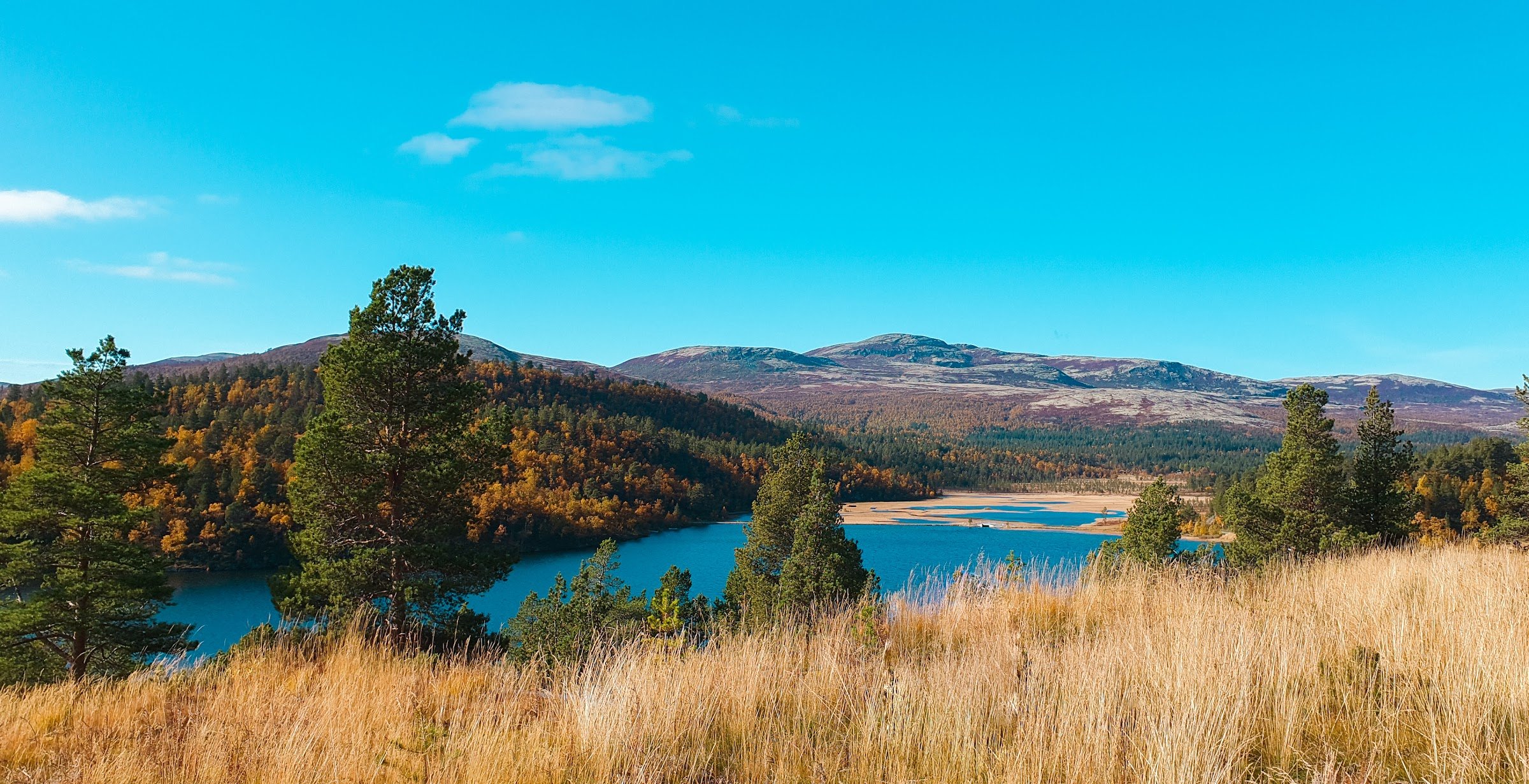 Savalen Fjellhotell & Spa